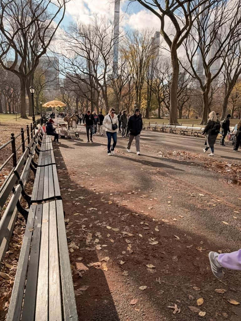 Central Park New York