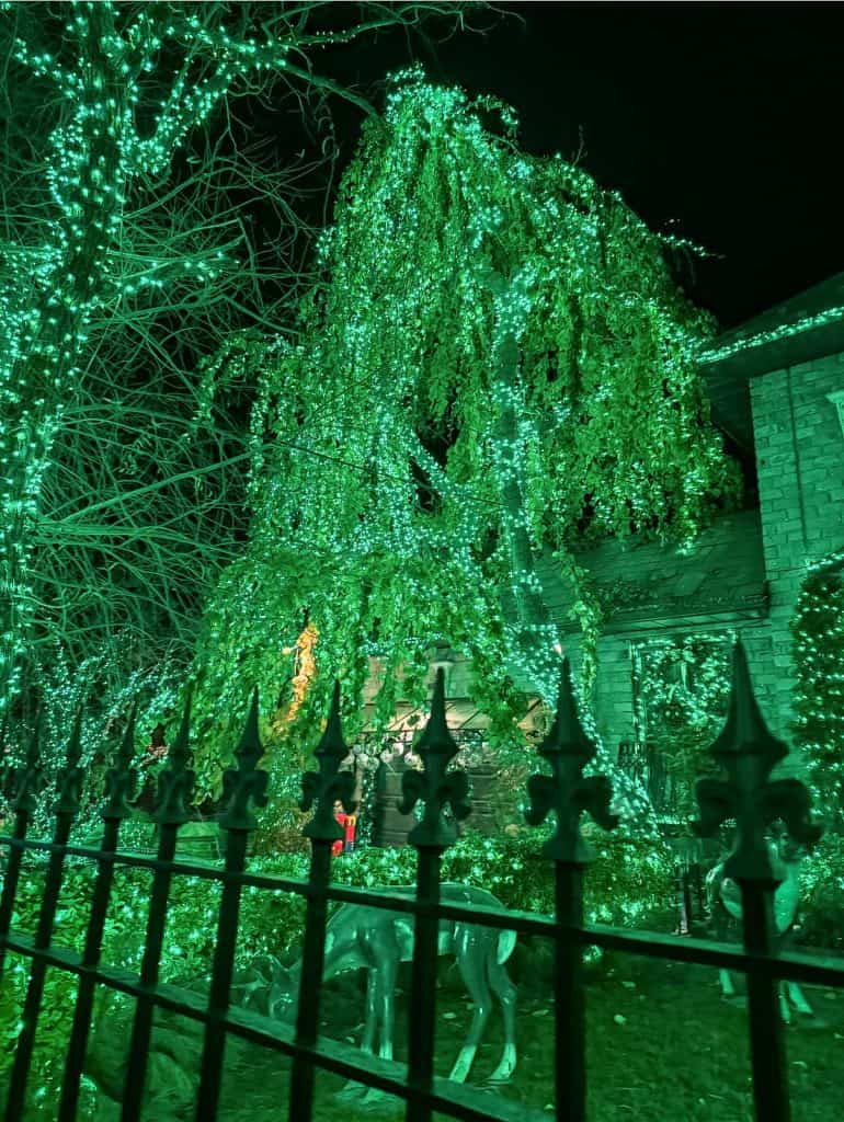 Dyker Heights lights decorations Brooklyn New York Green house
