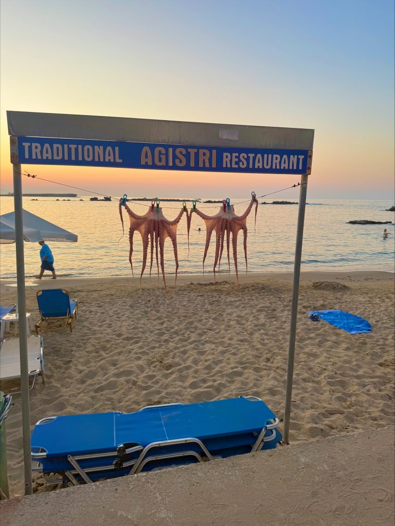 Octopus at Nea Chora beach