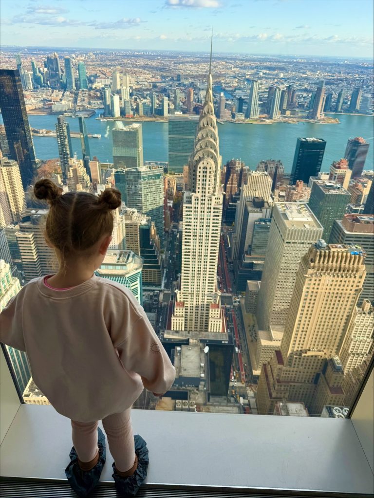 Sumit Vanderbilt view of Manhattan