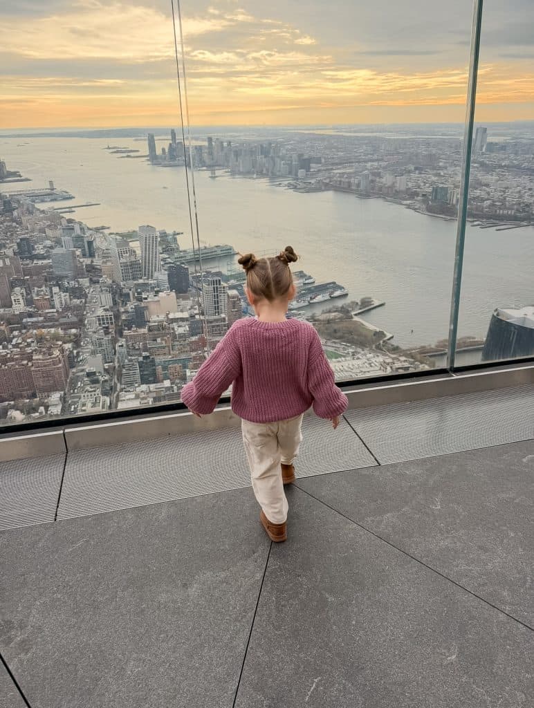 Hudson River view from The Edge New York