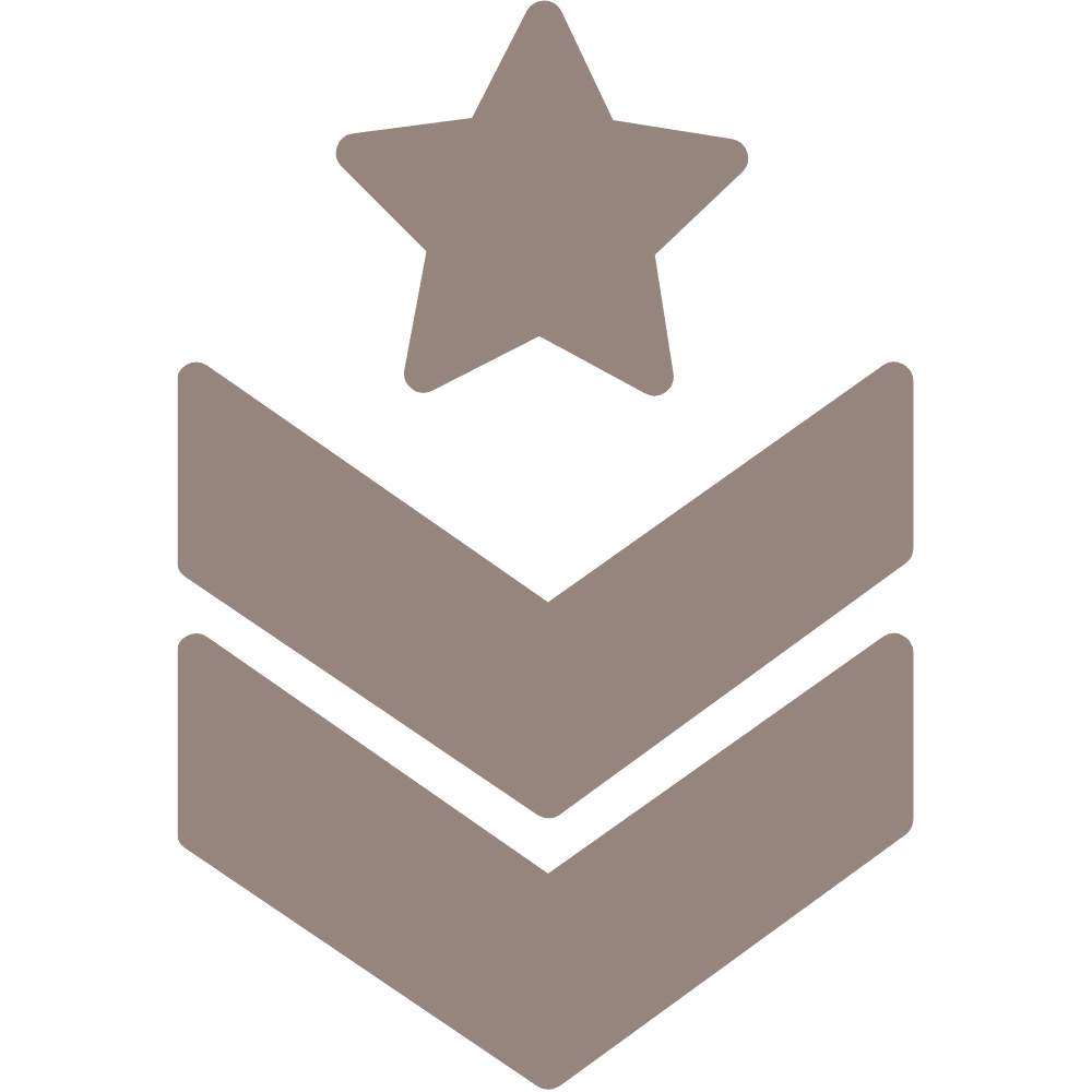Military icon