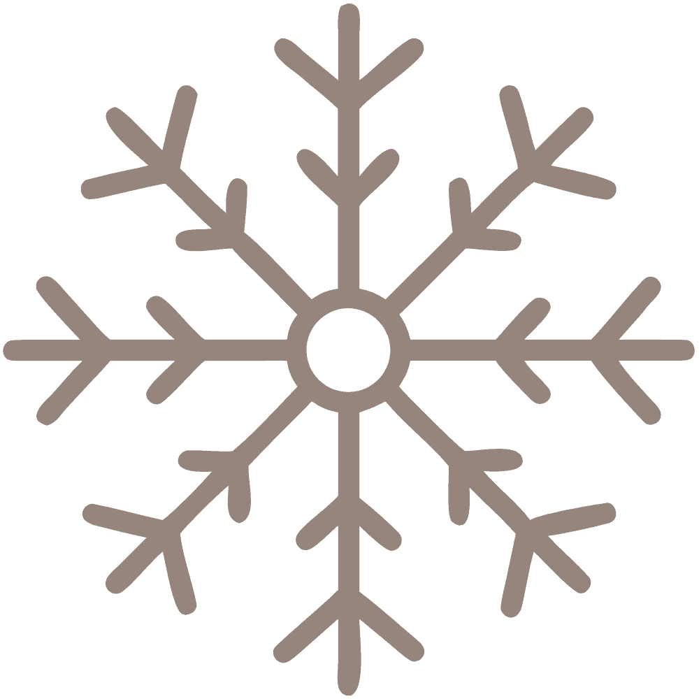 Snowflake icon