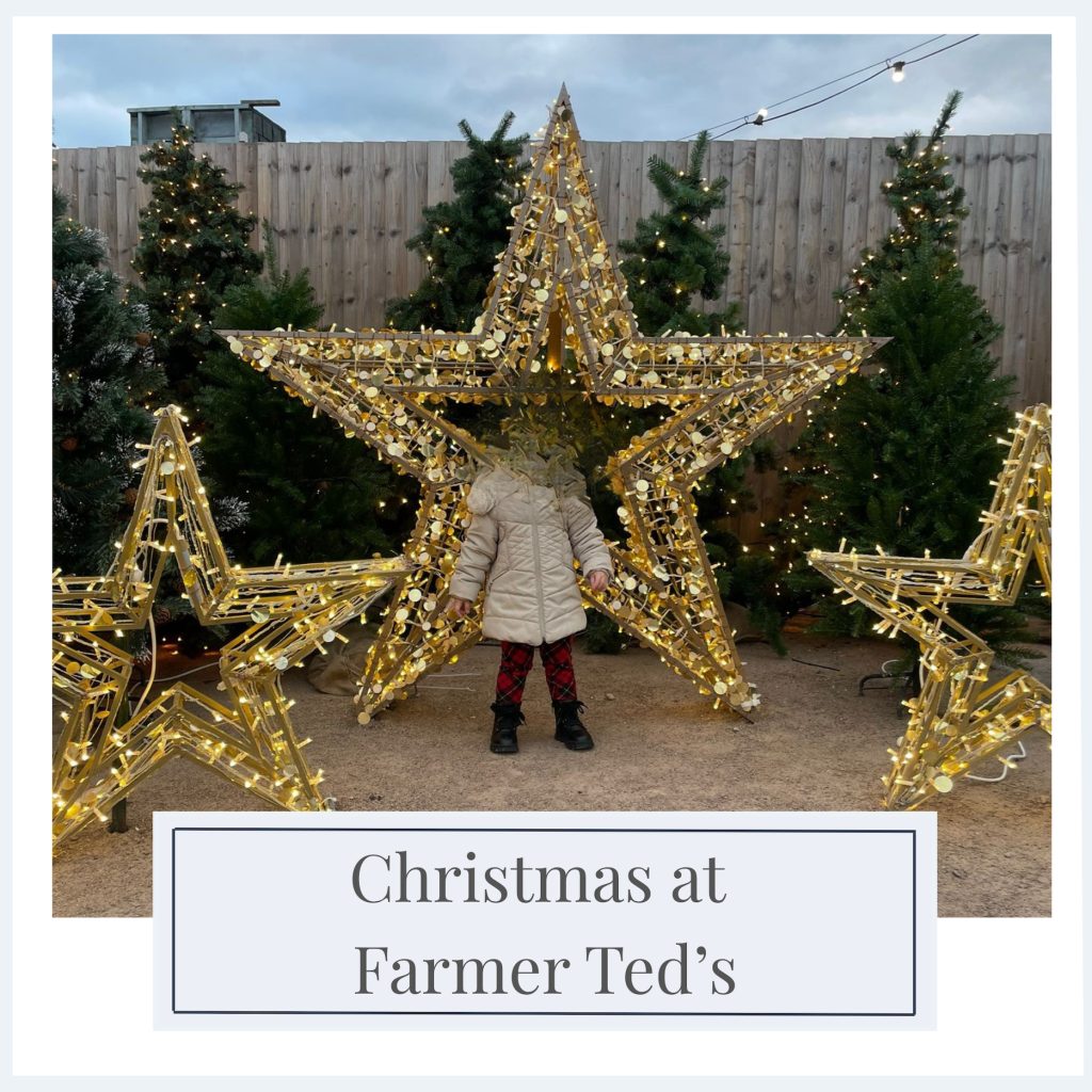 Christmas at Farmer Ted's