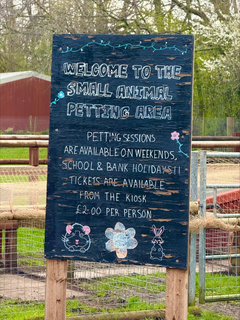 Petting times at Acorn Farm, Kirkby
