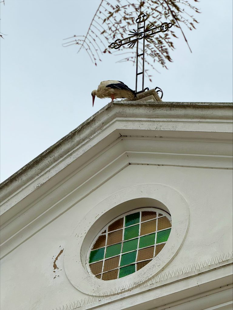 Faro stalk on top of building