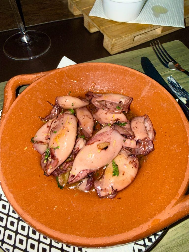 Tavira - Brisa do Rio squid