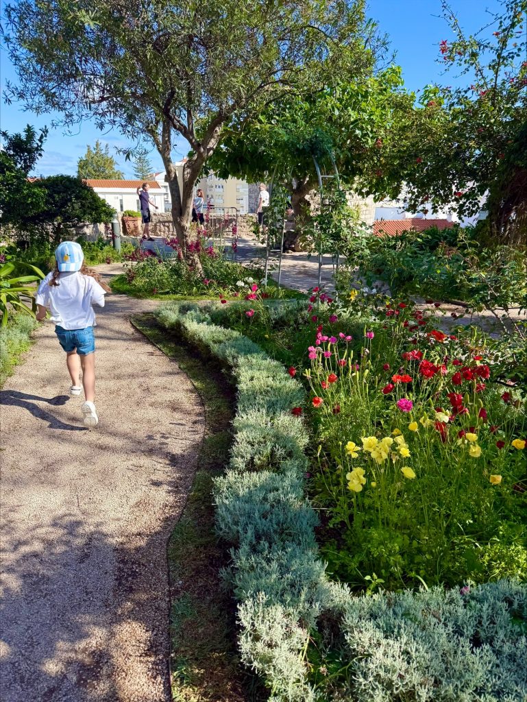 Tavira - Castelo de Tavira gardens 3