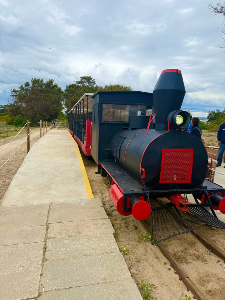 Tavira Praia do Barril train