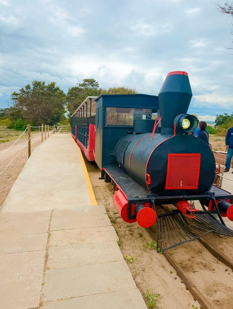Train to Praia do Barril