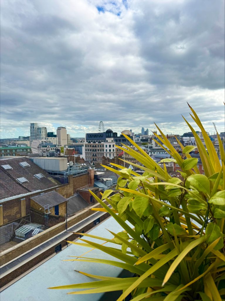 Hotel Amano Covent Garden rooftop bar view - Girls weekend London
