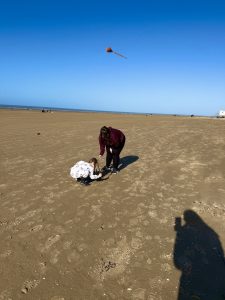 Formby beach looking at shells