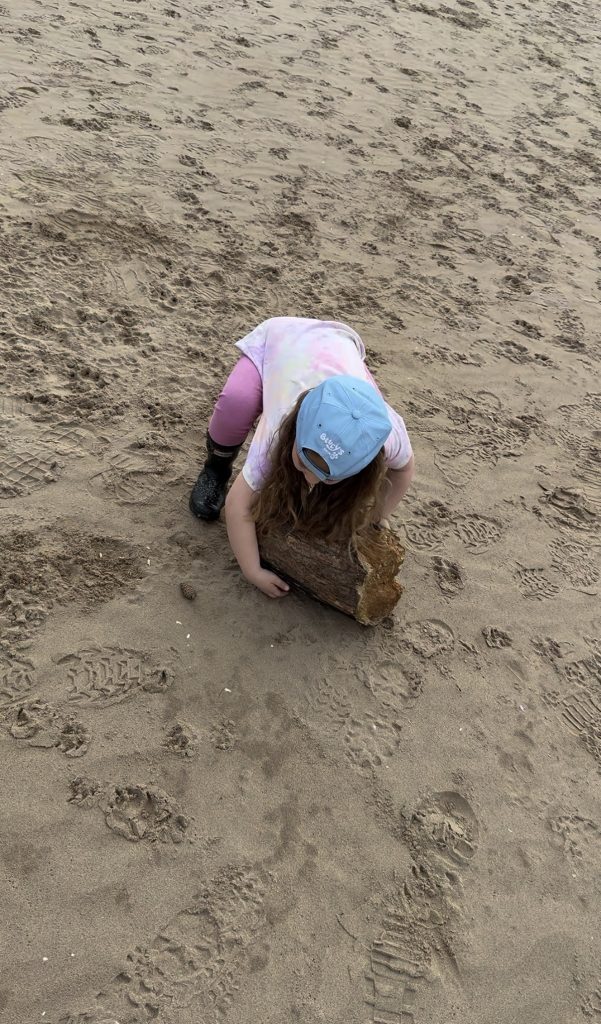 Formby beach collecting big rocks