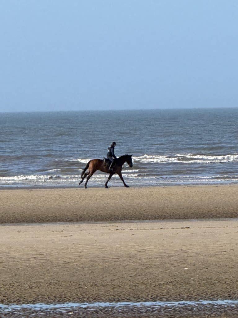 Formby beach horse cantering