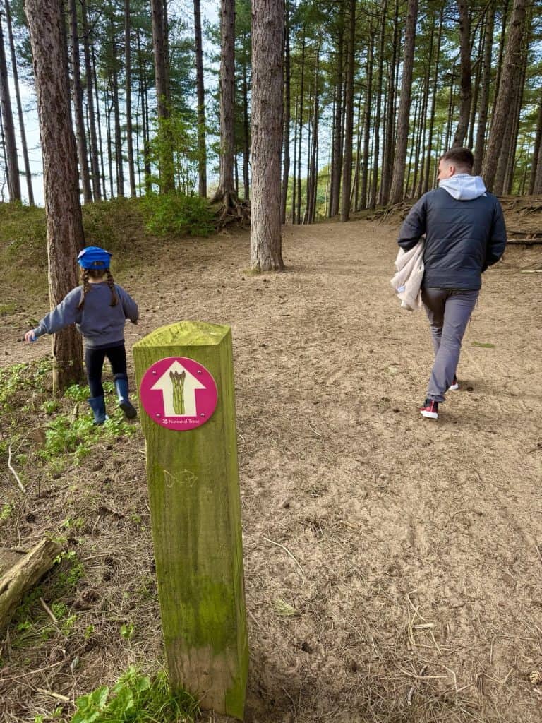 Formby woods asparagus trail