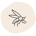 Baby packing list mosquito