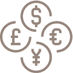 Currency icon