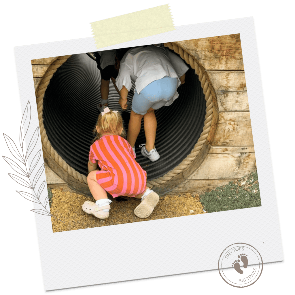 Martin Mere play area children climbing into tunnel