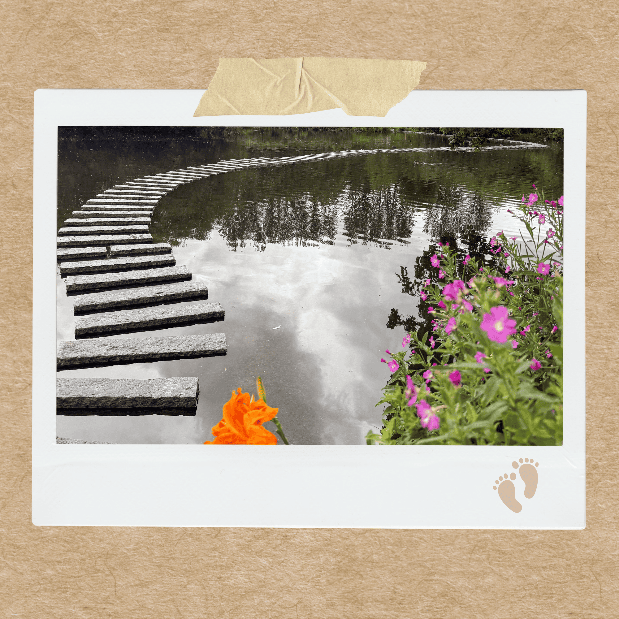 Martin Mere stepping stones