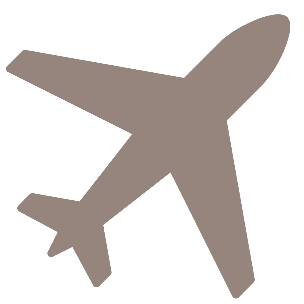 Plane icon