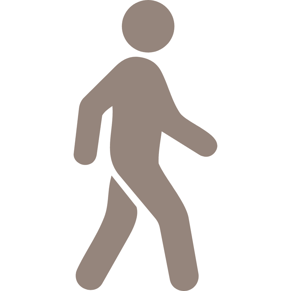 Walking icon