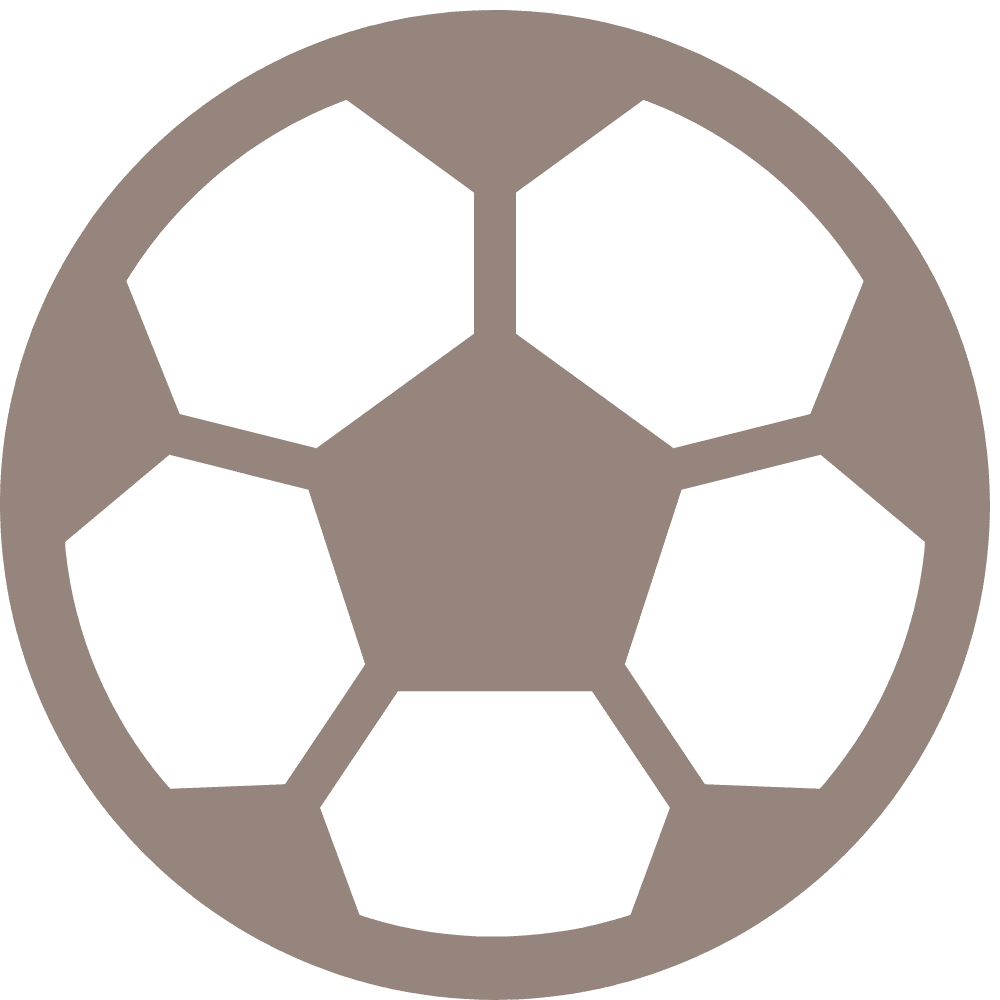Football icon